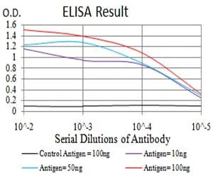 SYN1 Mouse Monoclonal Antibody - Size: 50µl