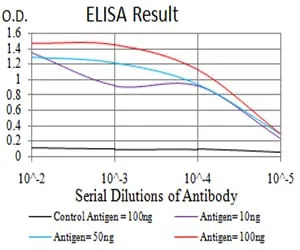 ARF1 Mouse Monoclonal Antibody - Size: 50µl