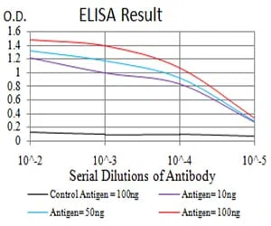 Rab6b Mouse Monoclonal Antibody - Size: 50µl