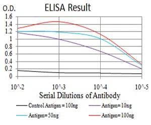 PSMC3 Mouse Monoclonal Antibody - Size: 100µl