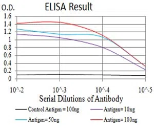PSMC3 Mouse Monoclonal Antibody - Size: 100µl