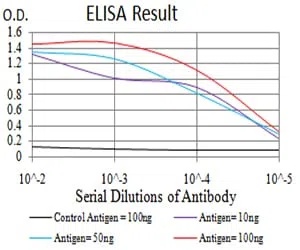 BIN1 Mouse Monoclonal Antibody - Size: 50µl
