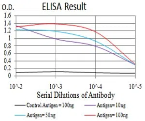 EIF5 Mouse Monoclonal Antibody - Size: 100µl