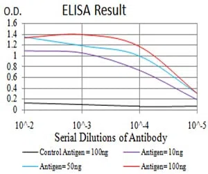 C3C Mouse Monoclonal Antibody - Size: 50µl