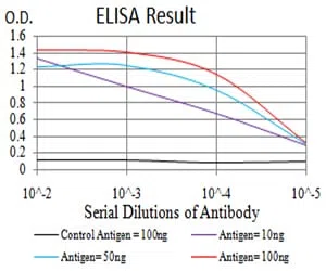 CALB2 Mouse Monoclonal Antibody - Size: 50µl