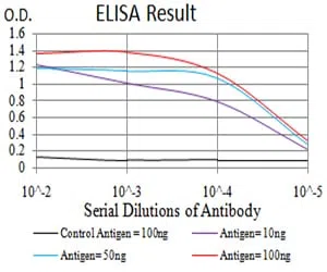 DNTT Mouse Monoclonal Antibody - Size: 100µl
