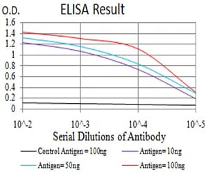 RBFOX3 Mouse Monoclonal Antibody - Size: 50µl