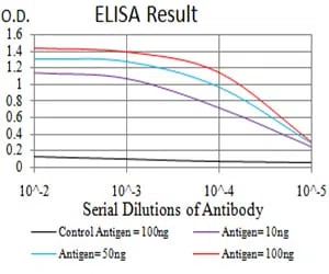 UL37 Mouse Monoclonal Antibody - Size: 100µl