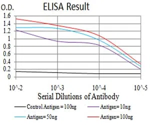 ESRRA Mouse Monoclonal Antibody - Size: 50µl