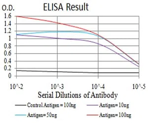 IDH1 Mouse Monoclonal Antibody - Size: 100µl