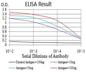 IDH1 Mouse Monoclonal Antibody - Size: 50µl