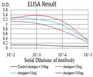 C1QA Mouse Monoclonal Antibody - Size: 100µl