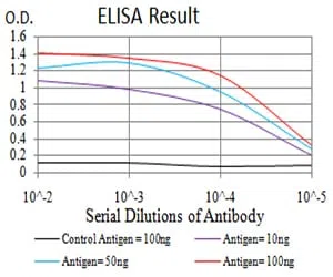C1QA Mouse Monoclonal Antibody - Size: 50µl