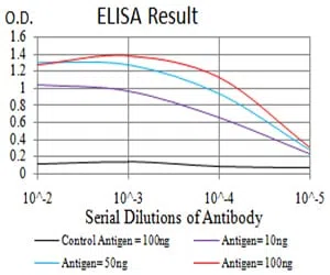 HLA-B Mouse Monoclonal Antibody - Size: 100µl