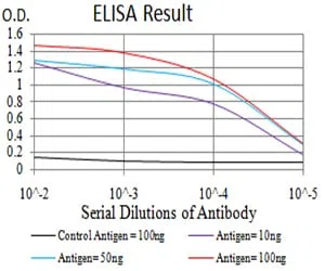 CPV-VP2 Mouse Monoclonal Antibody - Size: 100µl