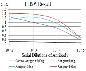 ADRB2 Mouse Monoclonal Antibody - Size: 100µl