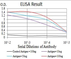ADRB2 Mouse Monoclonal Antibody - Size: 100µl