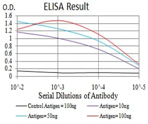 CCND1 Mouse Monoclonal Antibody - Size: 100µl
