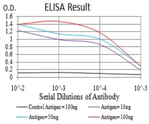 NS1 Mouse Monoclonal Antibody - Size: 100µl