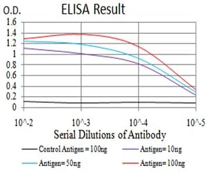TCF4 Mouse Monoclonal Antibody - Size: 50µl
