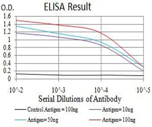 ESR1 Mouse Monoclonal Antibody - Size: 100µl