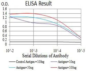 CBX7 Mouse Monoclonal Antibody - Size: 50µl