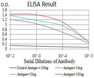 ASH2L Mouse Monoclonal Antibody - Size: 50µl