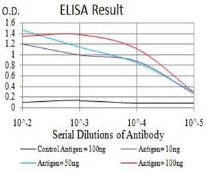 PAK3 Mouse Monoclonal Antibody - Size: 100µl