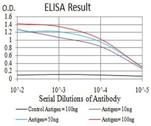 AMY1A Mouse Monoclonal Antibody - Size: 100µl