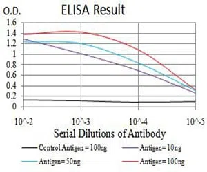 IGLC2 Mouse Monoclonal Antibody - Size: 50µl