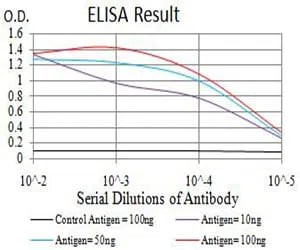 TFAP2C Mouse Monoclonal Antibody - Size: 100µl