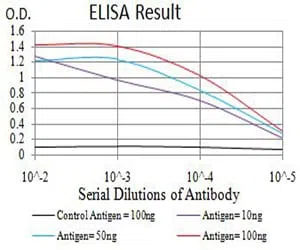 ADAR Mouse Monoclonal Antibody - Size: 50µl