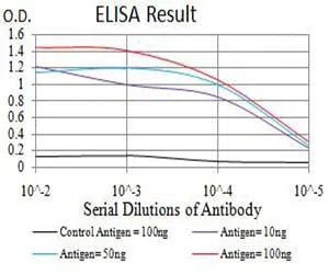 ATG3 Mouse Monoclonal Antibody - Size: 100µl