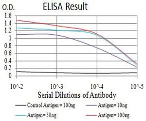 APEX1 Mouse Monoclonal Antibody - Size: 100µl