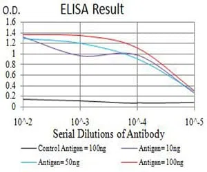 BCL2L10 Mouse Monoclonal Antibody - Size: 100µl