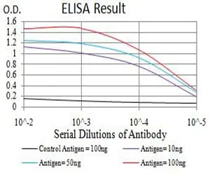 BCL11B Mouse Monoclonal Antibody - Size: 100µl