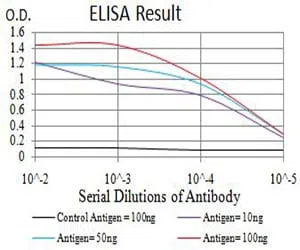 BCL11B Mouse Monoclonal Antibody - Size: 50µl