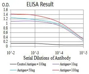 NCAM1 Mouse Monoclonal Antibody - Size: 100µl