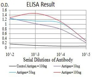 RUNX1 Mouse Monoclonal Antibody - Size: 50µl