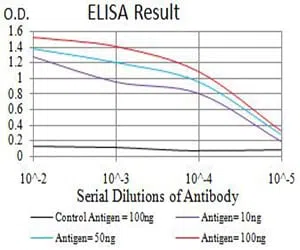 GRIN3B Mouse Monoclonal Antibody - Size: 100µl