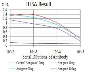 ALDH1A1 Mouse Monoclonal Antibody - Size: 100µl