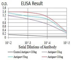 CHRNA3 Mouse Monoclonal Antibody - Size: 100µl