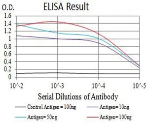 CHRNA4 Mouse Monoclonal Antibody - Size: 100µl