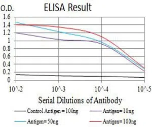 CHRNA7 Mouse Monoclonal Antibody - Size: 50µl