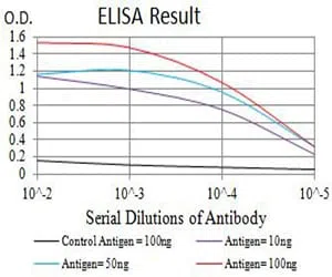 BCR Mouse Monoclonal Antibody - Size: 50µl