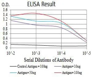 BCL2L2 Mouse Monoclonal Antibody - Size: 100µl