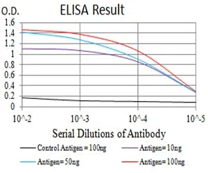 ALDOA Mouse Monoclonal Antibody - Size: 50µl