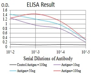 HTR3B Mouse Monoclonal Antibody - Size: 100µl