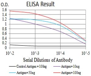 BCL9L Mouse Monoclonal Antibody - Size: 100µl