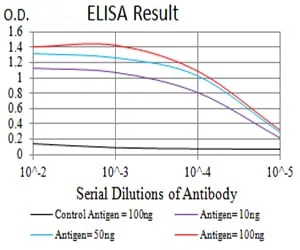 BCL9L Mouse Monoclonal Antibody - Size: 100µl